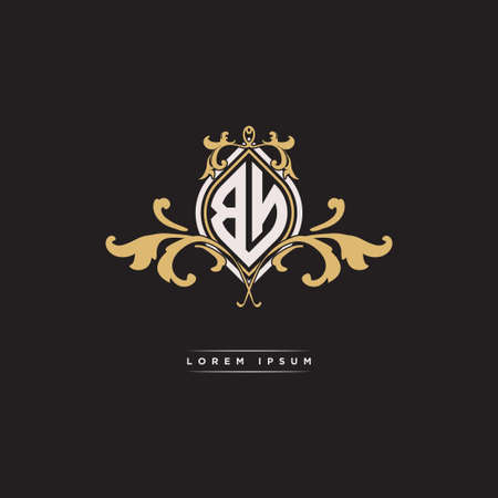 BN logo initial monogram with geometric vintage shape style design in isolated background, vintage ornamental geometric shape style, gold vintage retro monogramのイラスト素材