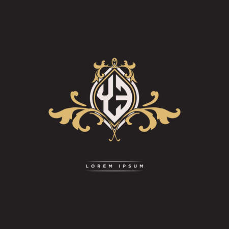 YE logo initial monogram with geometric vintage shape style design in isolated background, vintage ornamental geometric shape style, gold vintage retro monogramのイラスト素材