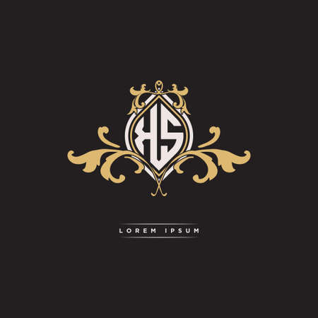 KS logo initial monogram with geometric vintage shape style design in isolated background, vintage ornamental geometric shape style, gold vintage retro monogramのイラスト素材