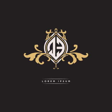 QE logo initial monogram with geometric vintage shape style design in isolated background, vintage ornamental geometric shape style, gold vintage retro monogramのイラスト素材