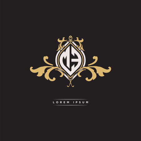 ME logo initial monogram with geometric vintage shape style design in isolated background, vintage ornamental geometric shape style, gold vintage retro monogramのイラスト素材