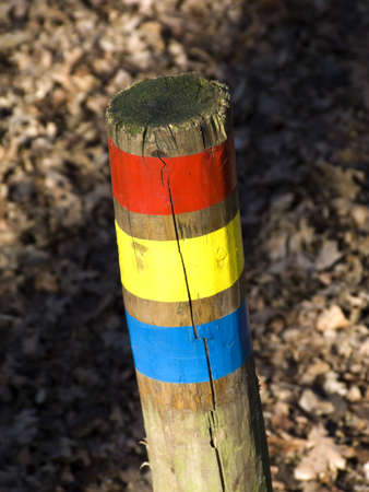 woodland trail guideの写真素材