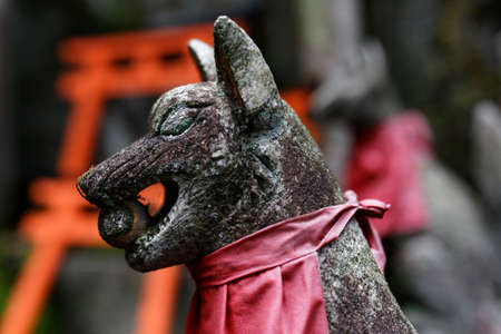 Kyoto Fushima-Inariの写真素材