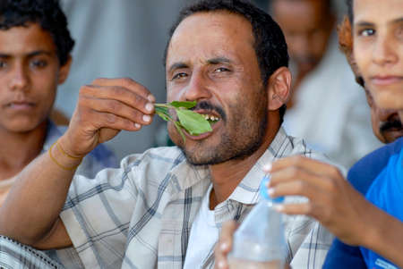 Lahij, Yemen, September 15, 2006 - Man chews khat (Catha edulis) at the local market in Lahij, Yemen. Chewing khat (drug of abuse) is a major social problem in Yemen.のeditorial素材
