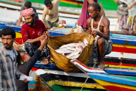 Al Hudaydah, Yemen, September 17, 2006 - Fishermen unload catch of the day from fishing boats in the port in Al Hudaydah, Yemen.のeditorial素材