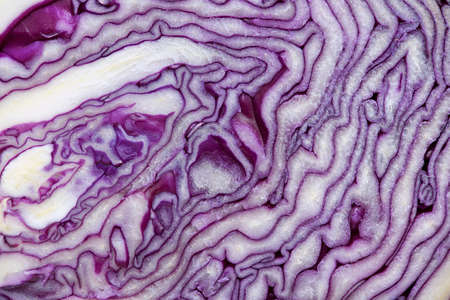 Red cabbage sloseup.の写真素材