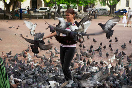 Santo Domingo, Dominican Republic, November 08, 2012 - Woman feeds pigeons in Santo Domingo, Dominican Republic.のeditorial素材