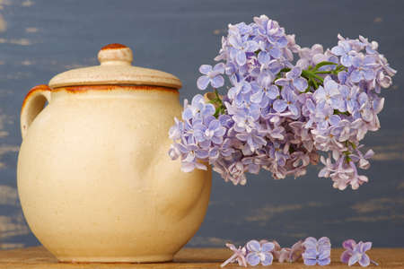 Fresh lilac flowers in the beige  tea pot against blue background.の写真素材