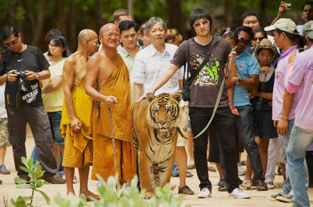 Kanchanaburi, Thailand, May 23, 2009 - Tourists walk with tiger handled by Abbot Phra Acharn Phoosit Khantidharo in Tiger Temple Kanchanaburi, Thailand.のeditorial素材