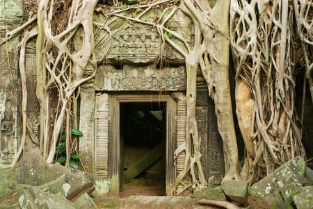 Siem Reap, Cambodia - August 09, 2008: View to the ruins of the Ta Prohm Temple in Siem Reap, Cambodia.のeditorial素材