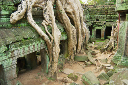 Siem Reap, Cambodia - August 09, 2008: View to the ruins of the Ta Prohm Temple in Siem Reap, Cambodia.のeditorial素材