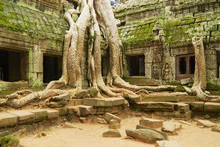 Siem Reap, Cambodia - August 09, 2008: View to the ruins of the Ta Prohm Temple in Siem Reap, Cambodia.のeditorial素材