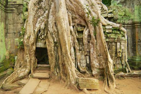Siem Reap, Cambodia - August 09, 2008: View to the ruins of the Ta Prohm Temple in Siem Reap, Cambodia.のeditorial素材