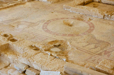 Ancient Roman floor mosaic in the Saint Stevens Church at an archeological site in Umm ar-Rasas, Jordan.のeditorial素材