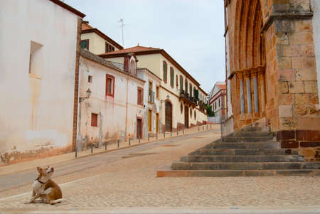 Silves, Portugal - July 18, 2006: View to the streetr with historical buildings in Silves, Portugal.のeditorial素材