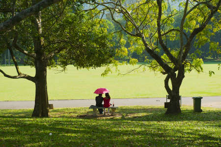 Kandy, Sri Lanka - May 22, 2011: Unidentified couple relax at the palm trees alley in the Peradeniya Royal Botanical Garden in Kandy, Sri Lanka.のeditorial素材