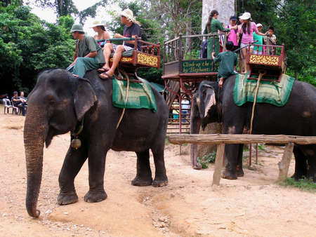 Siem Reap, Cambodia - August 10, 2008: Unidentified tourists enjoy elephant ride next to the Phnom Bakheng Temple in Siem Reap, Cambodia.のeditorial素材