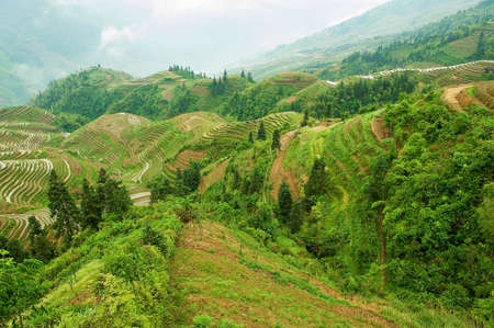 The Longsheng Rice Terraces in Longsheng County about 100 km from Guilin, China.の写真素材