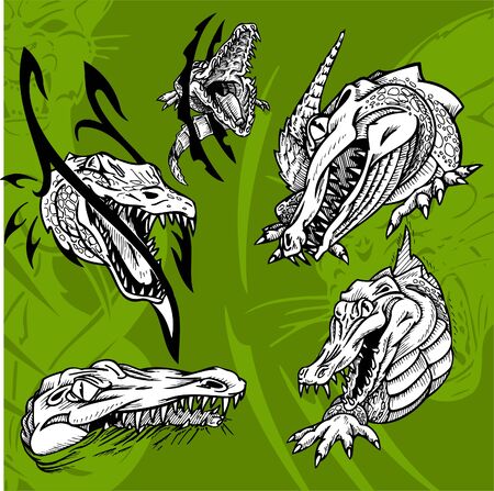 Crocodiles and Alligators.Predators.のイラスト素材