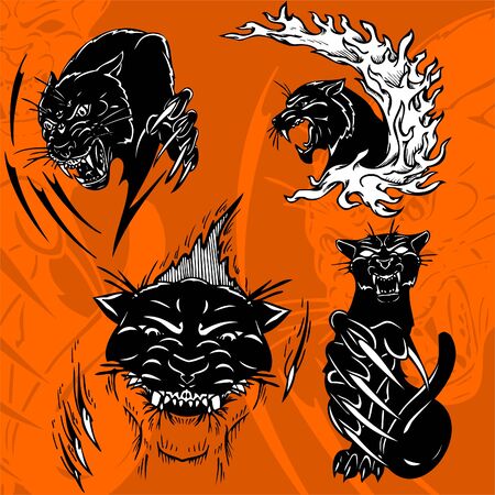 Black Tiger . Predators.
のイラスト素材