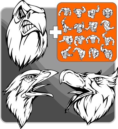 eagle with a big beakのイラスト素材