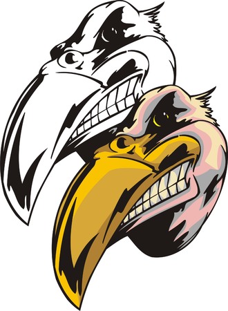 Bird of prey with big yellow sharp beak. Mascot template. Vector illustration - color + b/w versions.のイラスト素材