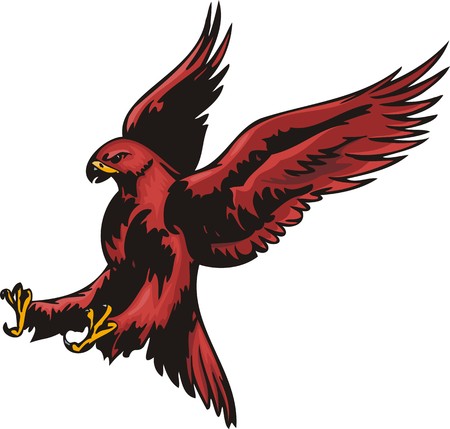 Eagle with red plumage. Predatory birds.  illustration - color   b/w versions.のイラスト素材