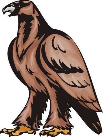 The big eagle with brown plumage. Predatory birds.  illustration - color   b/w versions.のイラスト素材