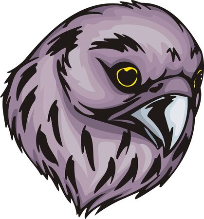 Head of the falcon with violet plumage. Predatory birds.   illustration - color   b/w versions.のイラスト素材