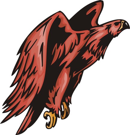 The big eagle with red plumage. Predatory birds.  illustration - color   b/w versions.のイラスト素材