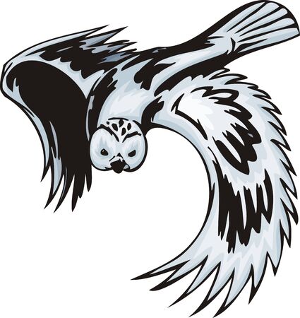 The owl with white plumage is going to attack. Predatory birds.   illustration - color   b/w versions.のイラスト素材