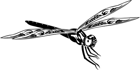 Dragonfly.Vector illustration ready for vinyl cutting.のイラスト素材