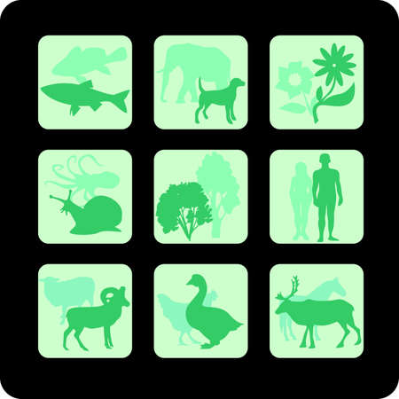 life on Earth - vector set のイラスト素材