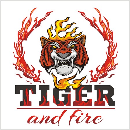 Tiger head hand and fire - vector illustrationのイラスト素材