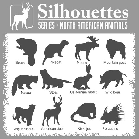 Silhouettes - Isolated North American animals. Vector set.のイラスト素材