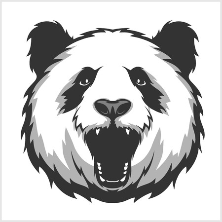 Portrait of Panda. Aggressive face bears.のイラスト素材