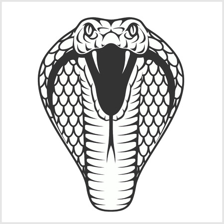 Cobra head - black and white ilustration. Isolated on white.のイラスト素材