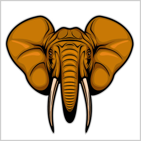 Elephant head. Isolated on white.のイラスト素材