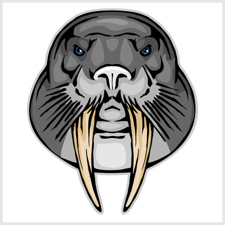 Walrus head mascot - vector illustration isolated on whiteのイラスト素材