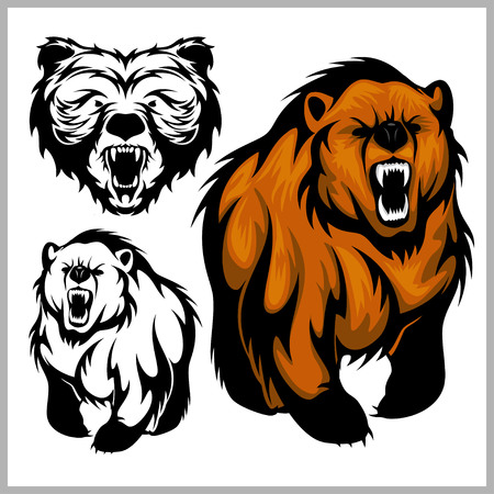 Color vector illustration of Grizzly bearのイラスト素材