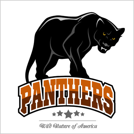 Panthers mascot - vector illustration isolated on white.のイラスト素材