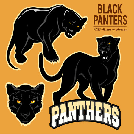 Black panthers - vector set isolated illustration.のイラスト素材