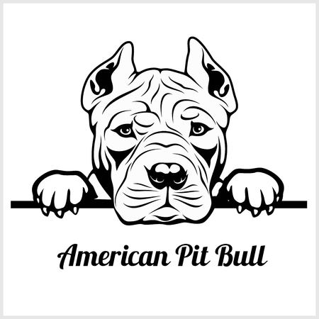American Pit Bull - Peeking Dogs - breed face head isolated on whiteのイラスト素材