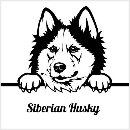 Peeking Dogs - - breed face head isolated on whiteのイラスト素材