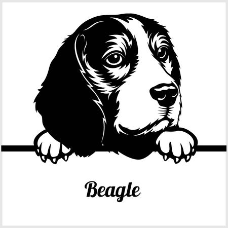 Beagle - Peeking Dogs - - breed face head isolated on whiteのイラスト素材