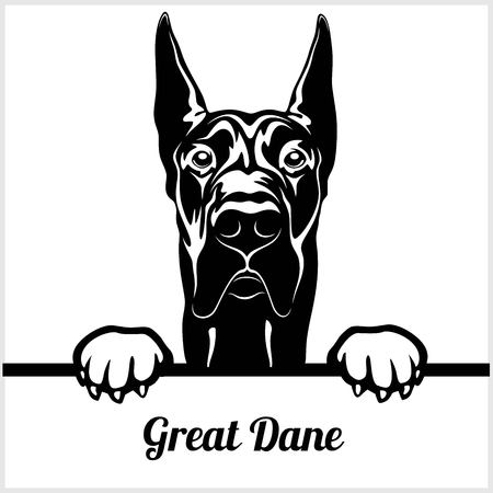 Great Dane - Peeking Dogs - - breed face head isolated on whiteのイラスト素材