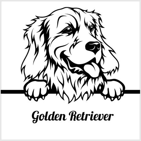 Golden Retriever - Peeking Dogs - - breed face head isolated on whiteのイラスト素材