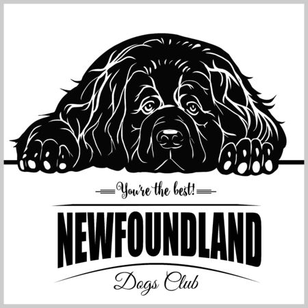 Newfoundland - vector illustration for t-shirt and template badgesのイラスト素材