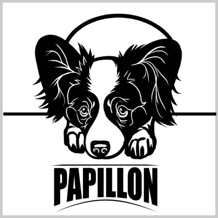Papillon - vector illustration for t-shirt, logo and template badgesのイラスト素材