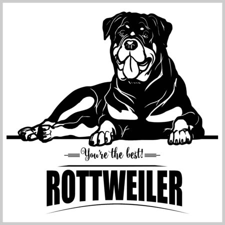 Rottweiler - vector illustration for t-shirt, logo and template badgesのイラスト素材